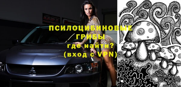 стафф Абинск