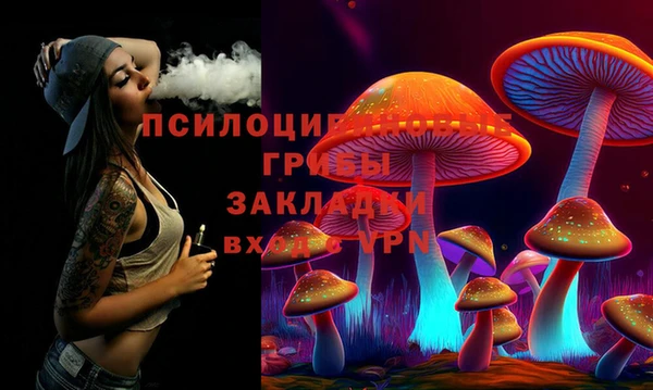 стафф Абинск